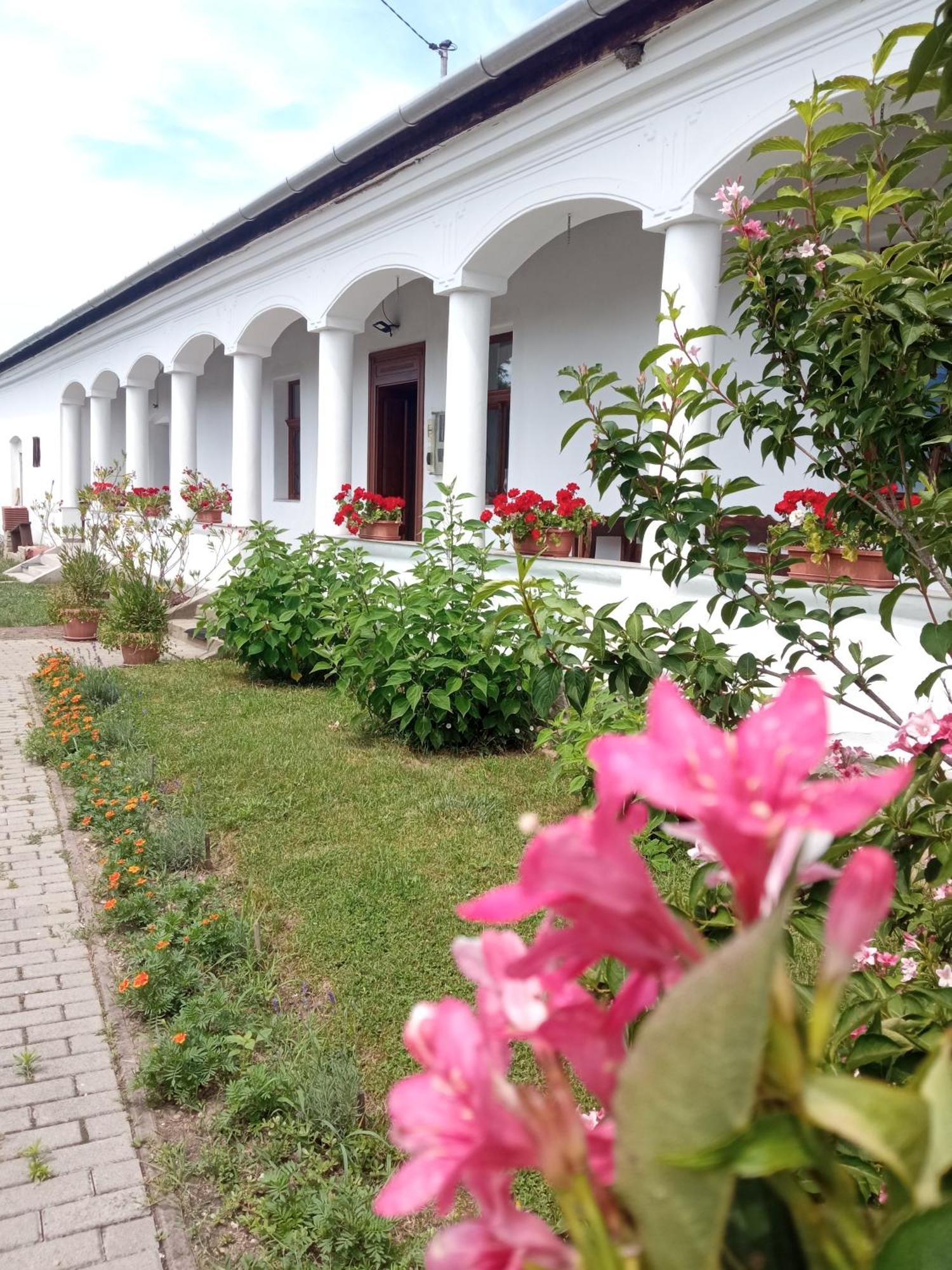 Hotel Heni Vendeghaza Vadna Exteriér fotografie